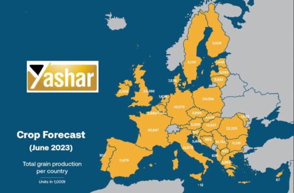پیش بینی کاهش تولید گندم توسط انجمن نمایندگی تجارت محصولات کشاورزی اروپا
