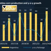 انتظار افزایش تولید ذرت آرژانتین در فصل زراعی 2024/2023