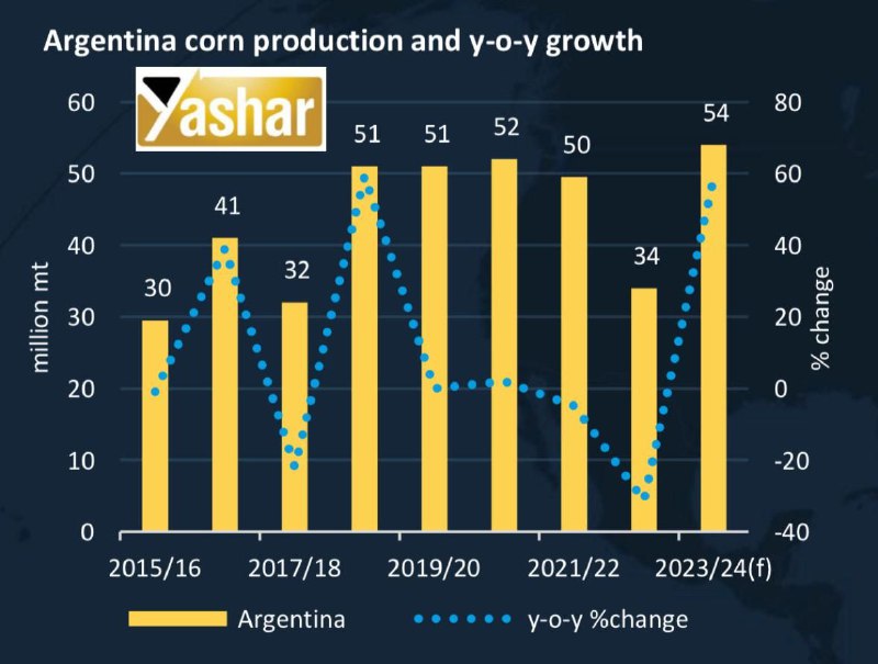 انتظار افزایش تولید ذرت آرژانتین در فصل زراعی 2024/2023