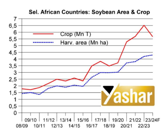 رکورد تولید سویا در کشورهای آفریقایی