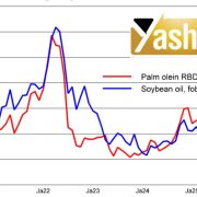 روغن پالم جهانی در شرایط نزولی